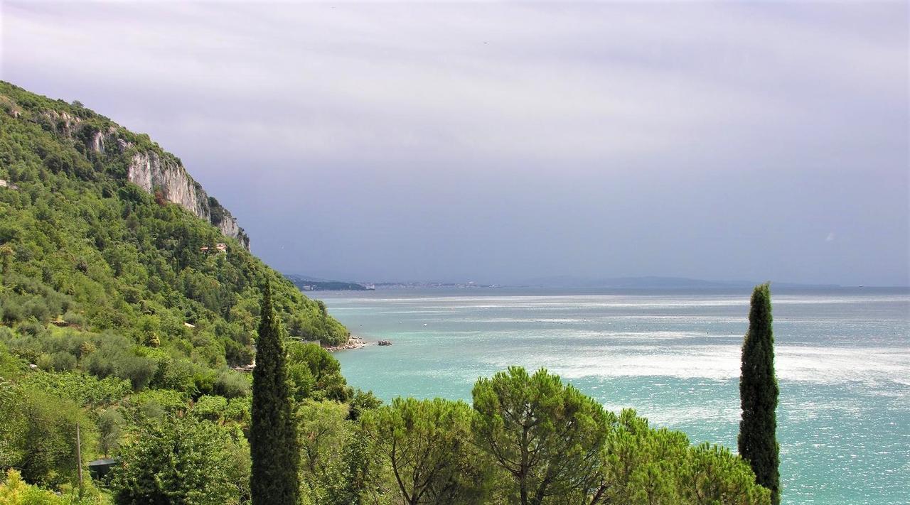 Ospitale2 Trieste